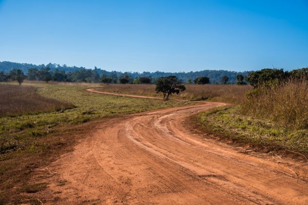 Cost of Dirt Driveway Repair in Bellingham