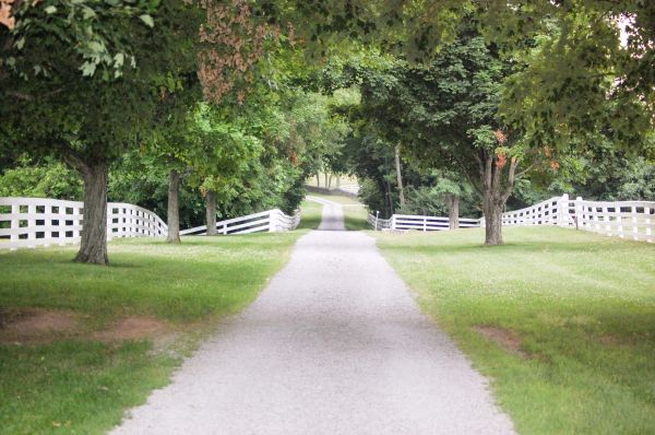 Cost of Gravel Road Installation in Bellingham