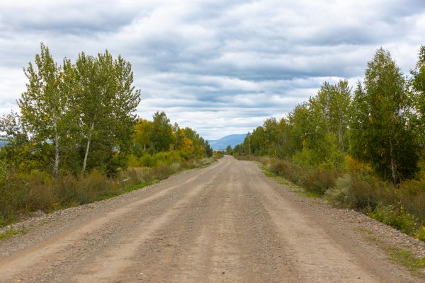 Cost of Dirt Road Repair in Bellingham