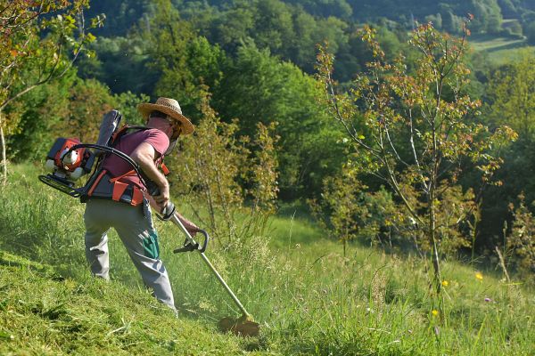 Cost of Slope Trimming in Bellingham