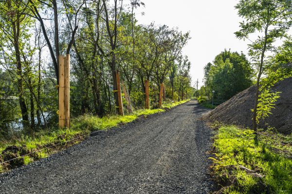 Cost of Dirt Road Construction in Bellingham